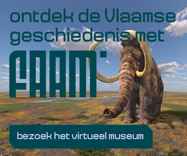affiche voor FAAM - het virtueel museum met mammoet in grote vlakte