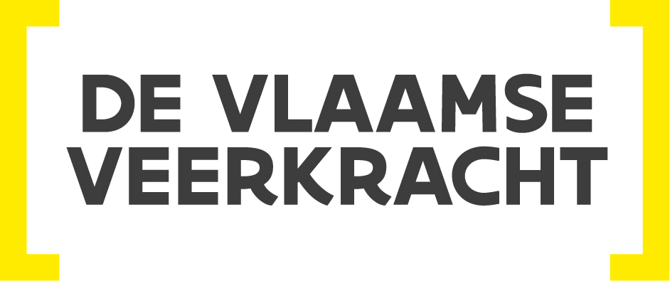 Logo de Vlaamse Veerkracht