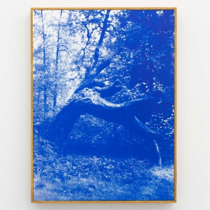 Ask the giants - Dries Segers - courtesy DMW Gallery - TIP