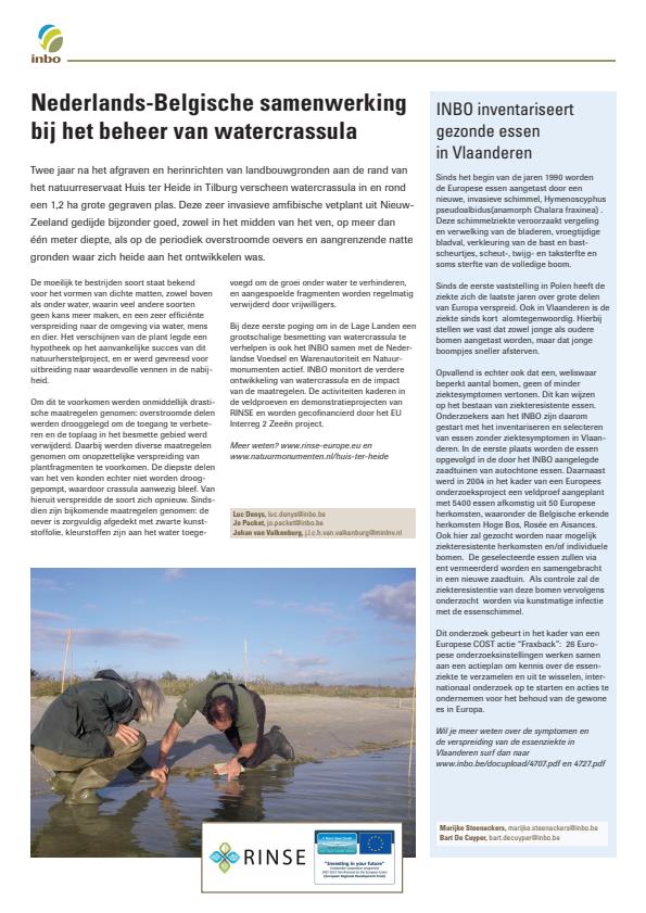 Publicatie details