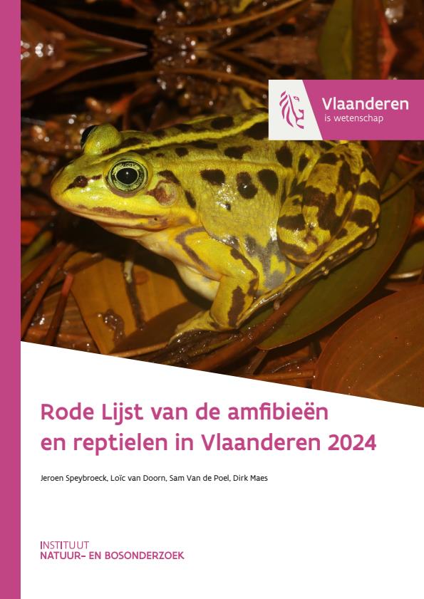 Publicatie details