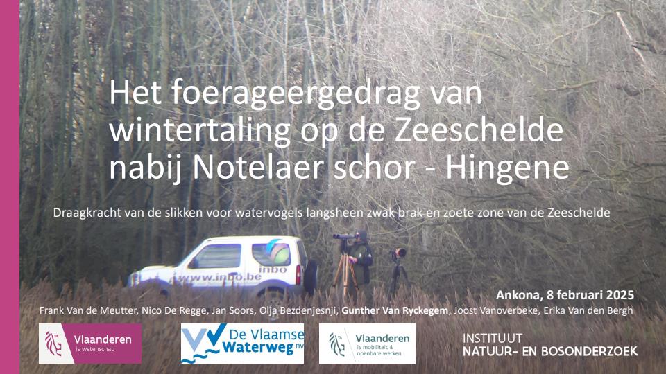 Publicatie details