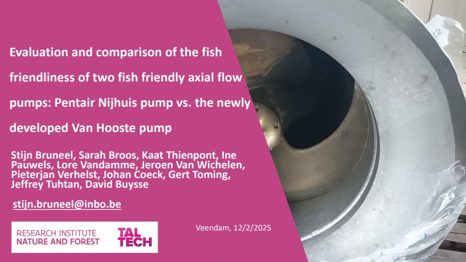 Publicatie details