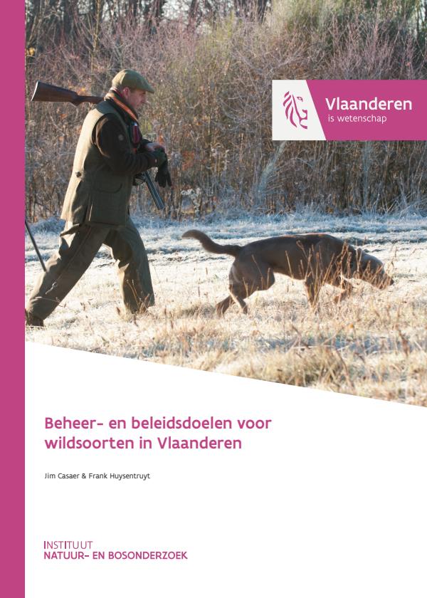 Publicatie details