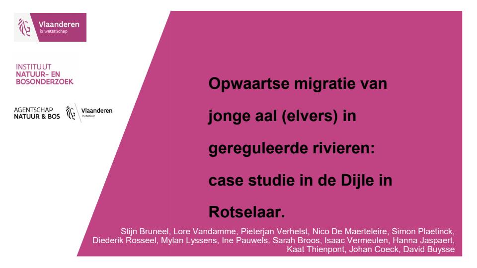Publicatie details