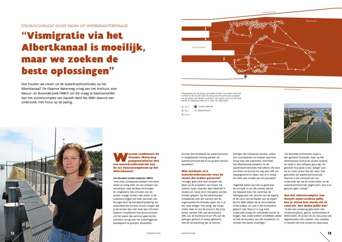 Publicatie details
