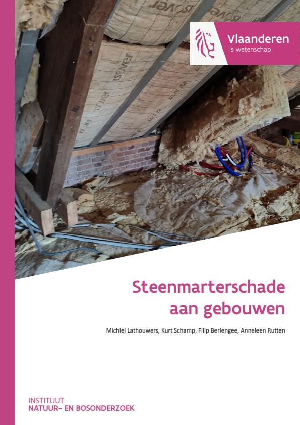 Publicatie details