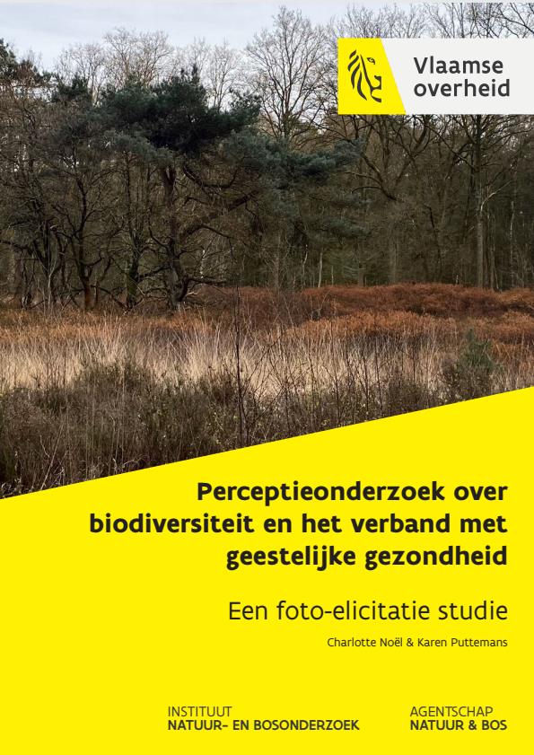 Publicatie details