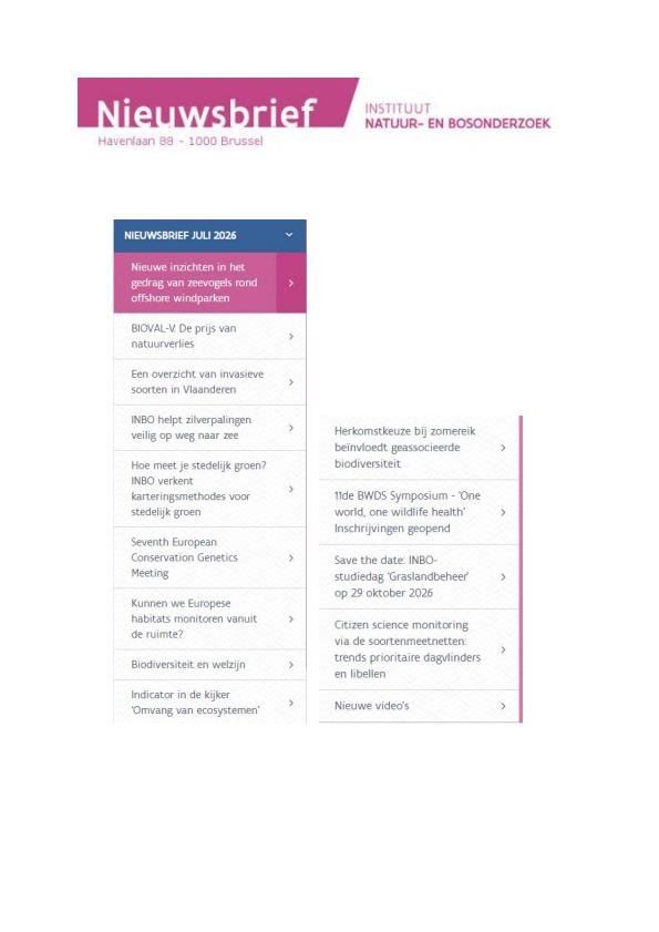 Publicatie details