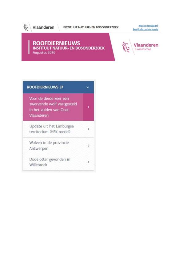 Publicatie details