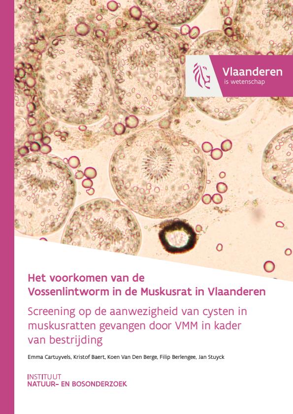 Publicatie details