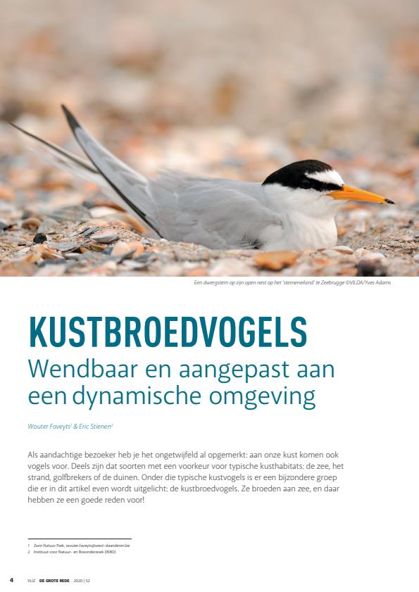 Publicatie details