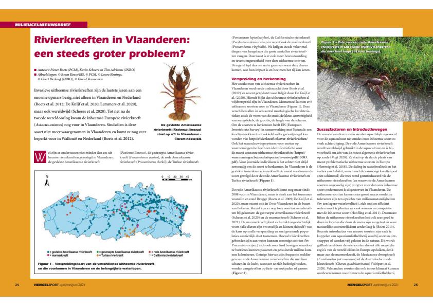 Publicatie details