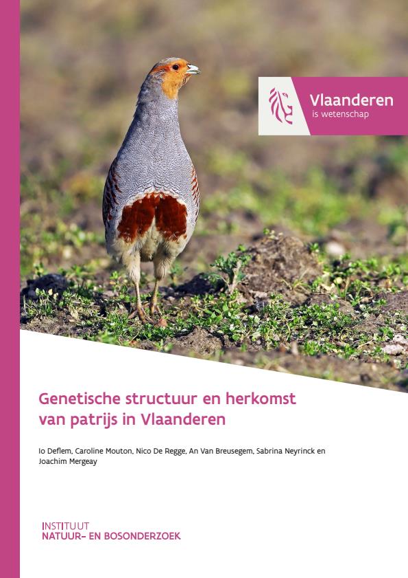 Publicatie details