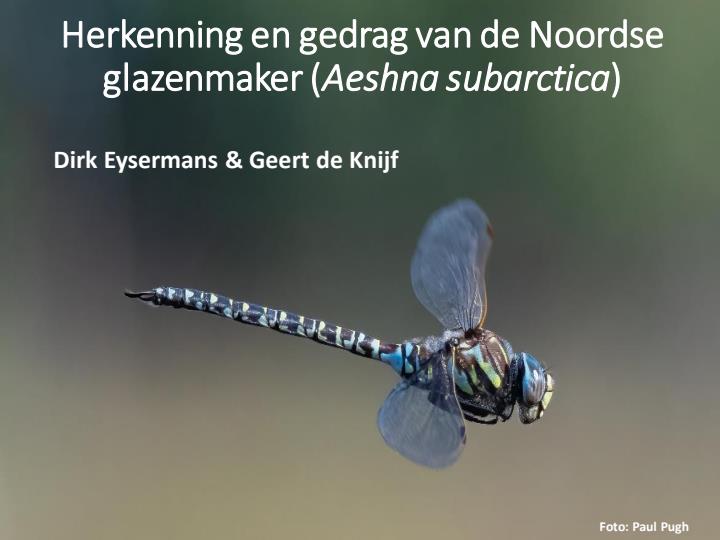 Publicatie details