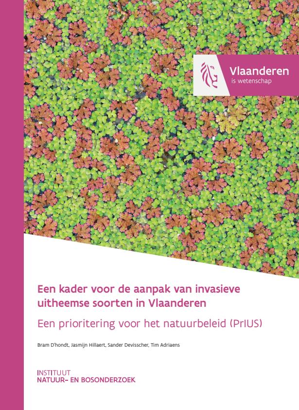 Publicatie details