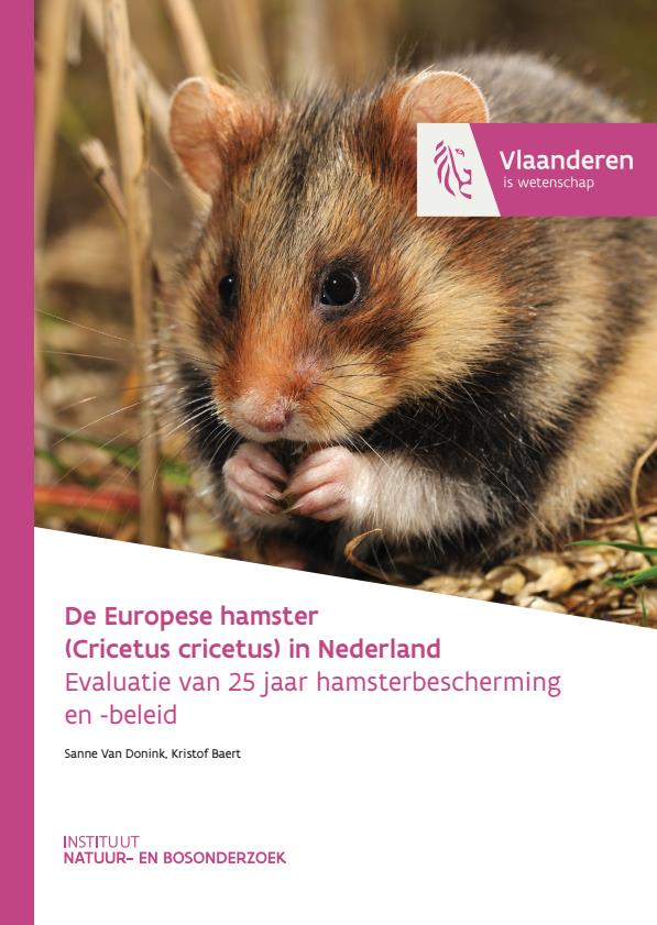 Publicatie details