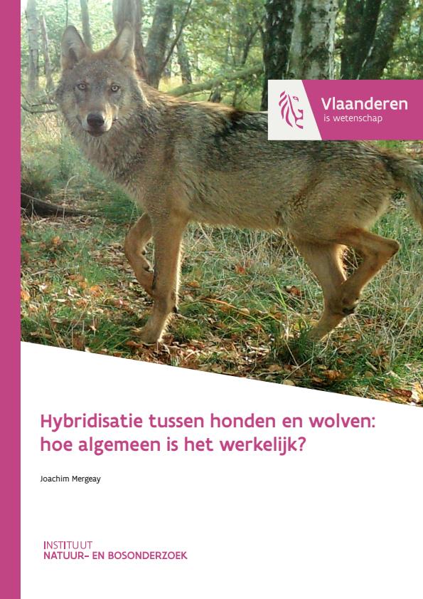 Publicatie details