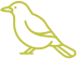 Algemene Broedvogelmonitoring (ABV)