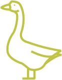 watervogelmonitoring