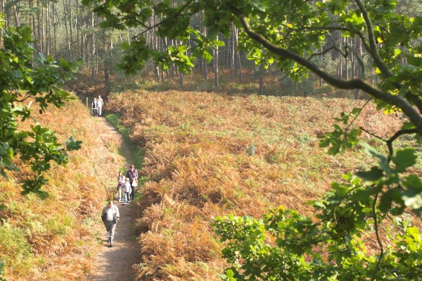 (Yves Adams - Vildaphoto)