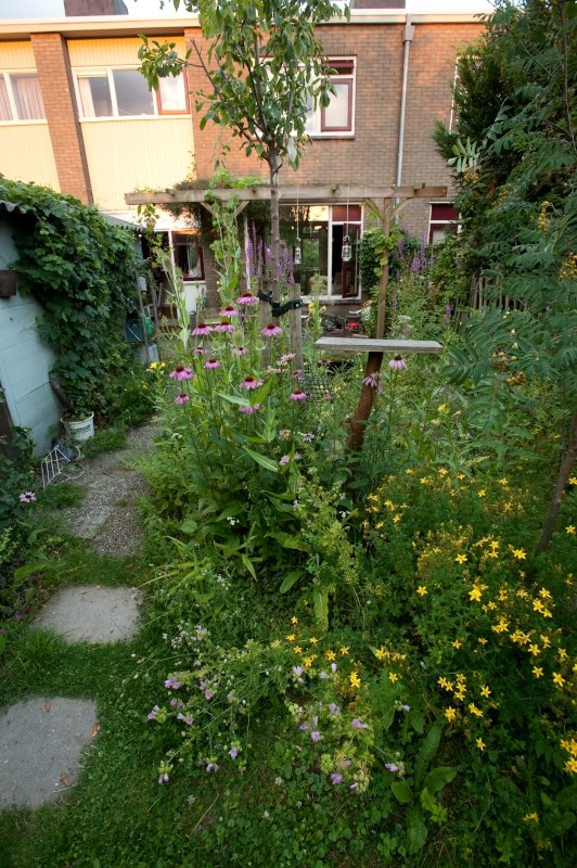 Ecological city garden (Lars Soerink - Vildaphoto)