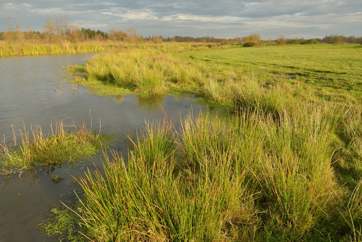 Het Smeetshof (foto Yves Adams - Vildaphoto)