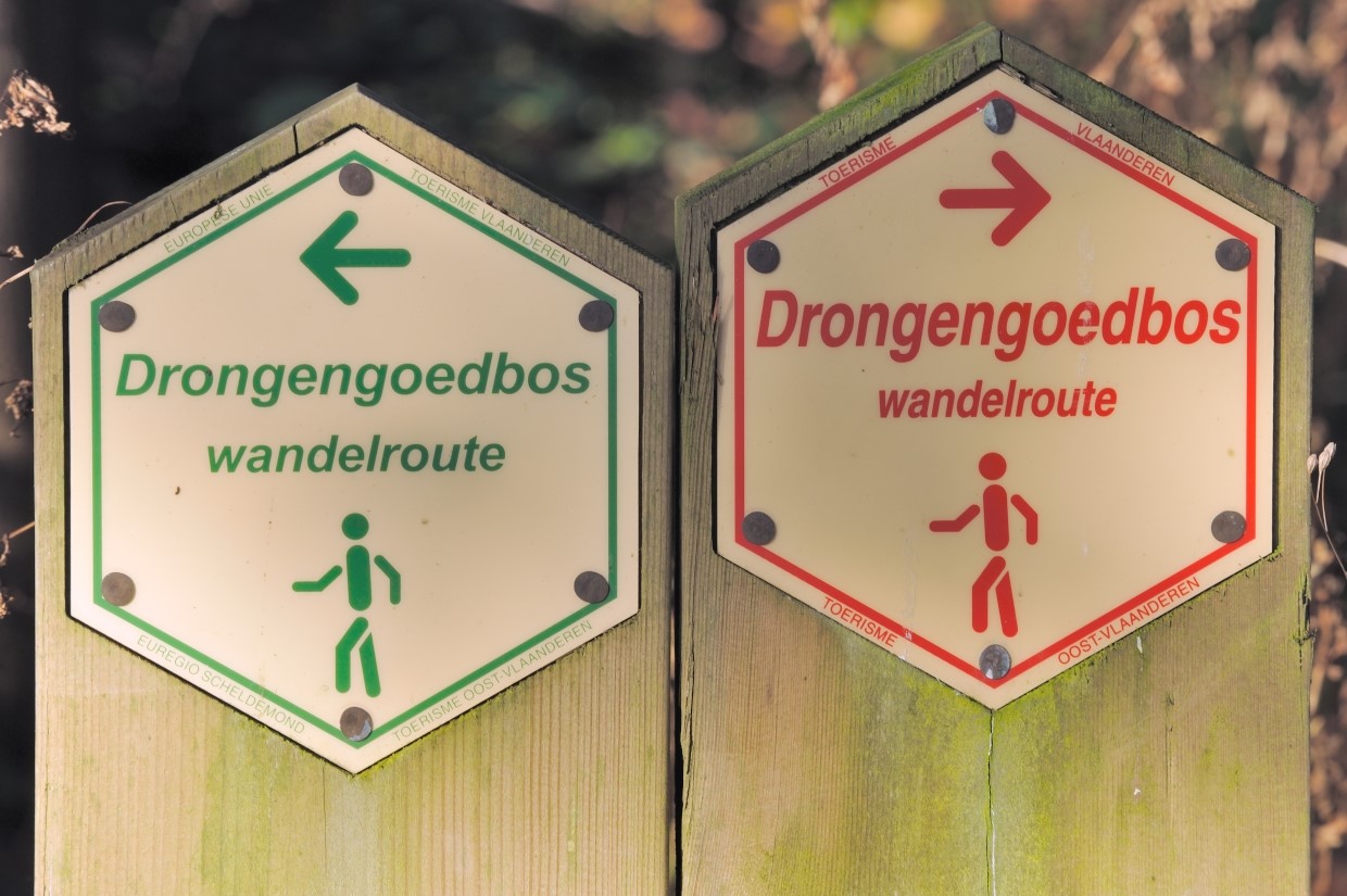 (Foto Rollin Verlinde - Vildaphoto)
