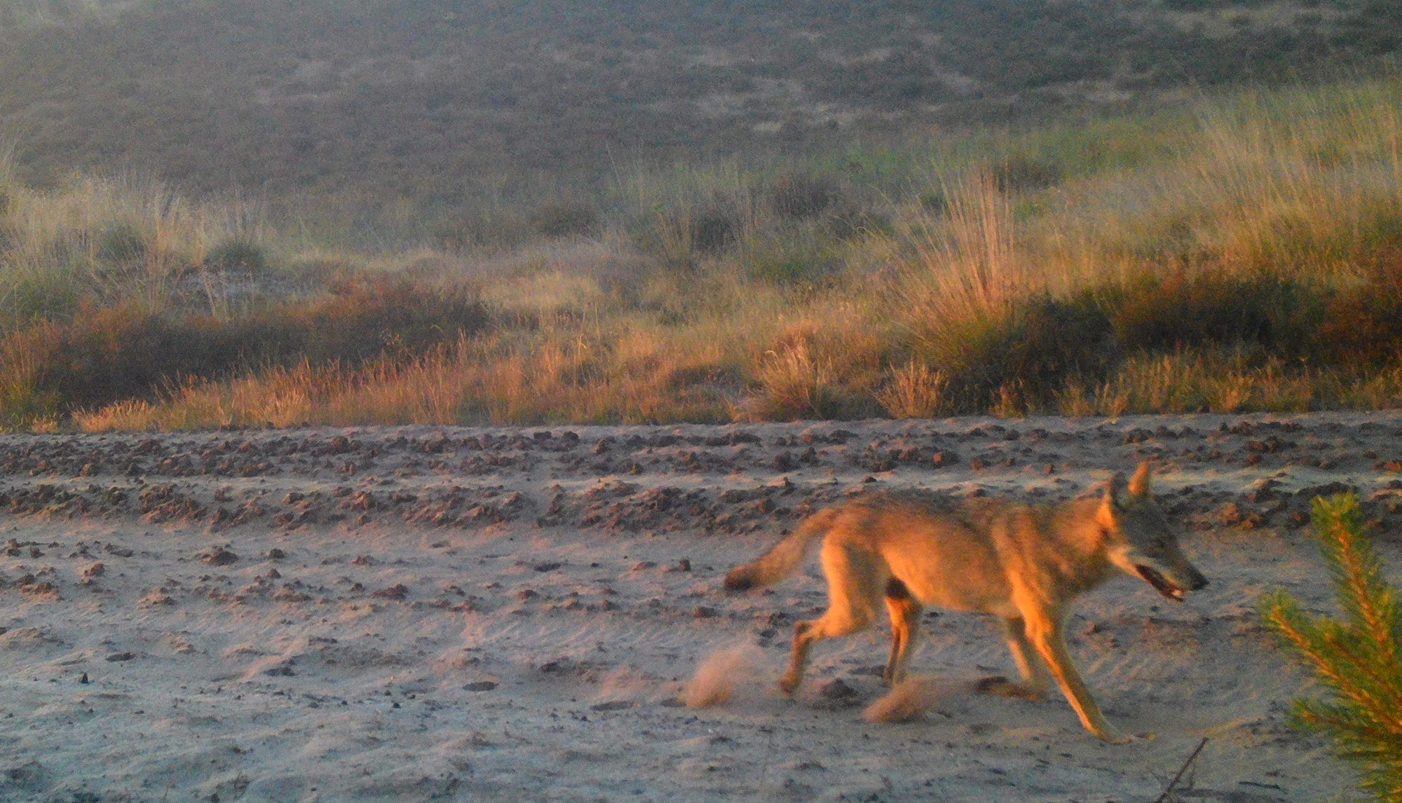 (INBO & Natuur en Bos)