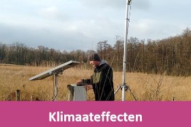 Klimaateffecten
