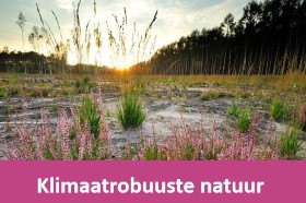 Klimaatrobuuste natuur