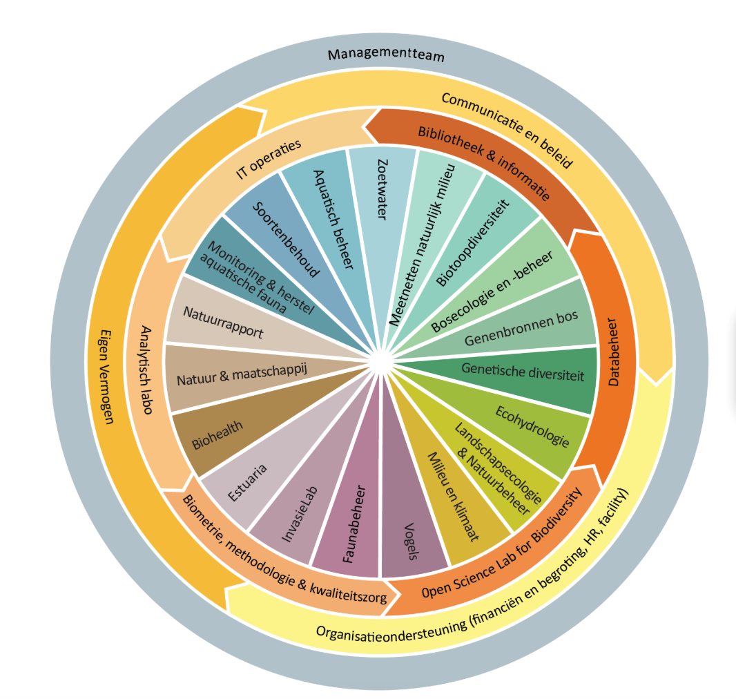 Organigram