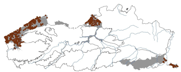 Voorkomen argusvlinder in Vlaanderen