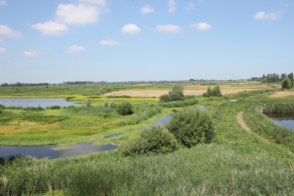 De Blankaert