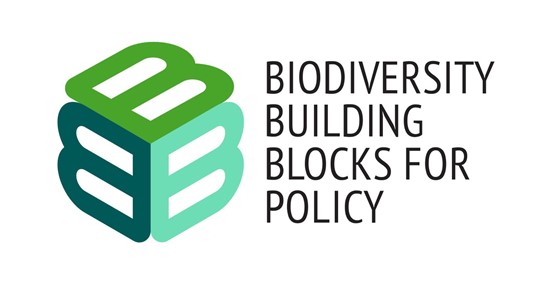 Logo B_Cubed