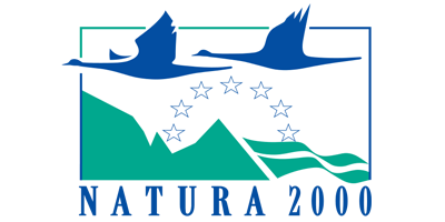 N2000 logo