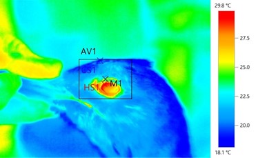 Oogtemperatuur vogel 1