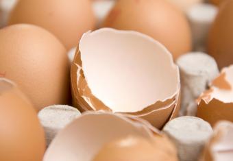Eierverkoop gestegen in 2015